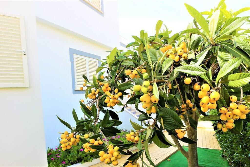 Vila Ventura Marina Albufeira Exteriör bild